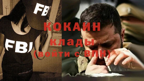 крисы Алексин