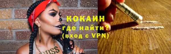 крисы Алексин