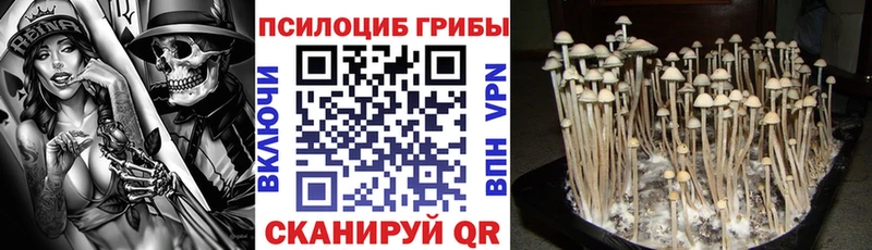 даркнет клад  МЕГА ссылка  Дзержинский  Галлюциногенные грибы мицелий 